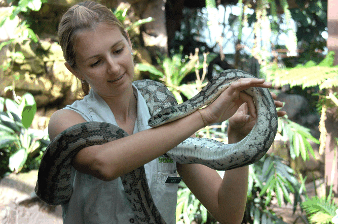 Cairns Wildlife Dome - thumb 2