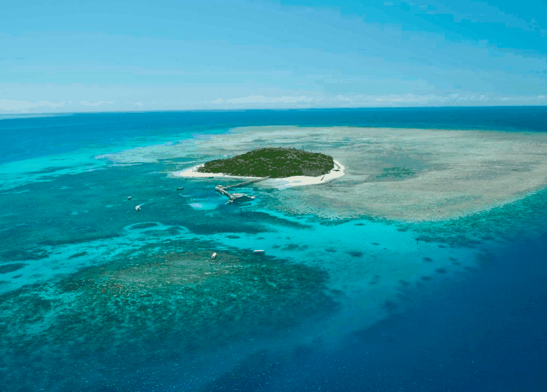 Big Cat Green Island Reef Cruises - Accommodation Bookings 1