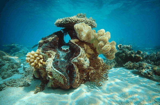 Big Cat Green Island Reef Cruises - Accommodation Bookings 3