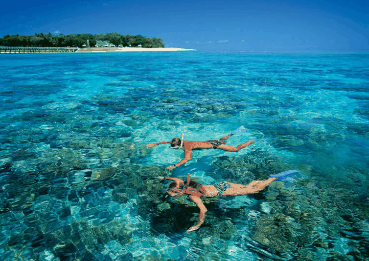Big Cat Green Island Reef Cruises - Accommodation Bookings 4