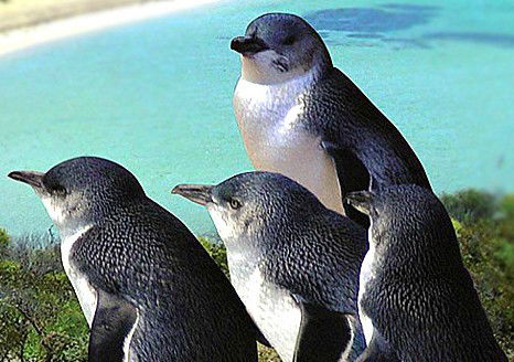  Accommodation Bookings