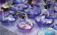 Caribbean Gardens - thumb 6