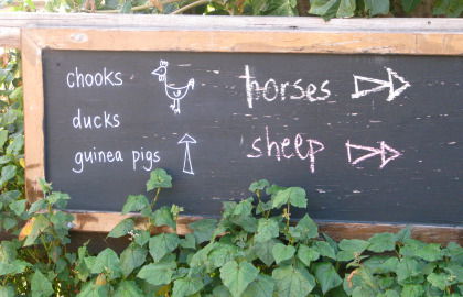 Collingwood Children's Farm - Accommodation Bookings 4