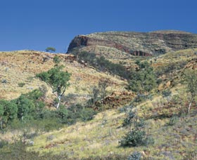  Accommodation Bookings