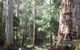 Warren River Loop Walk - thumb 0