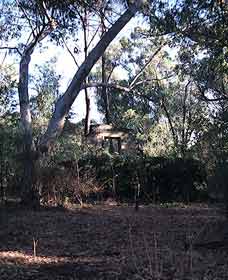 Ghost House Walk Trail, Yanchep National Park - Accommodation Bookings 0
