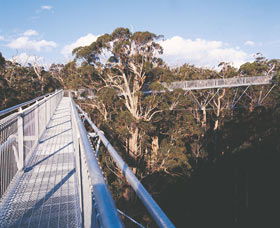Walpole-Nornalup National Park - Accommodation Bookings 0