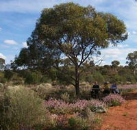 Karlkurla Bushland Park - Accommodation Bookings
