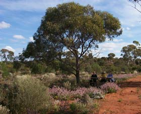 Karlkurla Bushland Park - Accommodation Bookings 0