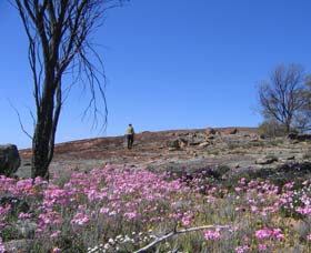 Chandler WA Accommodation Bookings