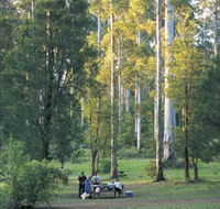 Big Brook Arboretum - Accommodation Bookings