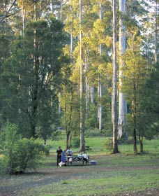 Big Brook Arboretum - Accommodation Bookings 0