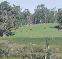 Scenic Drives - Bunbury Collie Donnybrook - Accommodation Bookings