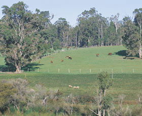 Scenic Drives - Bunbury Collie Donnybrook - Accommodation Bookings 0
