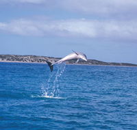 Steep Point - Accommodation Bookings