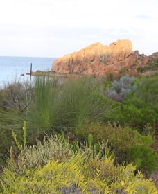 Meelup Trail - Accommodation Bookings 0
