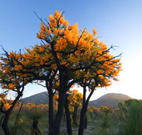 Cape Le Grand National Park - Accommodation Bookings
