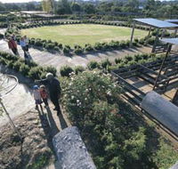 Kojonup Rose Maze - Accommodation Bookings