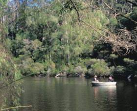 Warren National Park - Accommodation Bookings 0