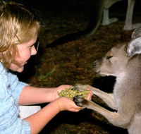 Discovery Bay's Walk on the Wild Side - Accommodation Bookings