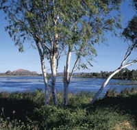 Celebrity Tree Park - Accommodation Bookings