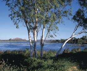 Celebrity Tree Park - Accommodation Bookings 0