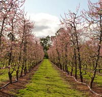 Raeburn Orchards - Accommodation Bookings