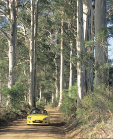 Mount Shadforth Scenic Drive - Accommodation Bookings 0