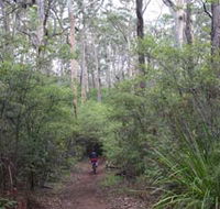 Margaret River Rails Trail - Accommodation Bookings