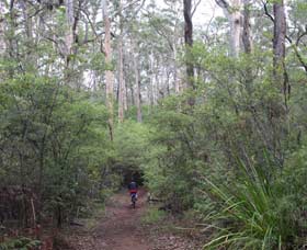 Margaret River Rails Trail - Accommodation Bookings 0