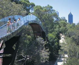 Lotterywest Federation Walkway - Accommodation Bookings 0