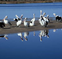Peel Region Canoe Trails - Accommodation Bookings