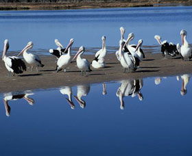 Peel Region Canoe Trails - Accommodation Bookings 0