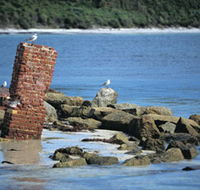 Whalers Beach - Accommodation Bookings