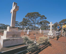  Accommodation Bookings
