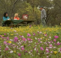 Gwambygine Park - Accommodation Bookings