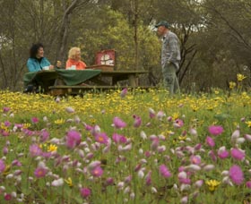 Gwambygine Park - Accommodation Bookings 0