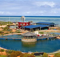 Ocean Park Aquarium - Accommodation Bookings