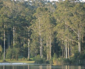 Big Brook Dam - Accommodation Bookings 0