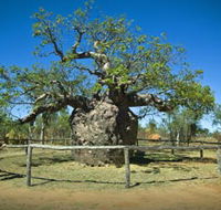 Pigeon Heritage Trail - Accommodation Bookings