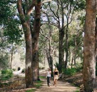 Law Trail and Lotterywest Federation Walkway Kings Park - Accommodation Bookings