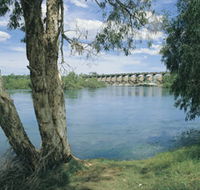 Bandicoot Bar - Accommodation Bookings