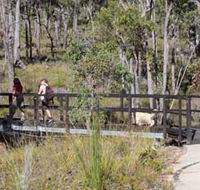 Forest Path Crooked Brook - Accommodation Bookings