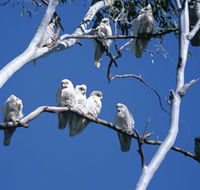 Carawine Gorge - Accommodation Bookings