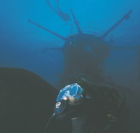 Swan Dive Wreck - Accommodation Bookings