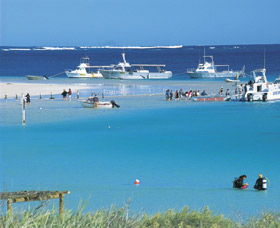 Bill's Bay - Accommodation Bookings 0