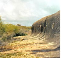 Totadgin Dam Reserve - Accommodation Bookings