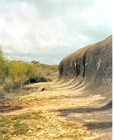 Totadgin Dam Reserve - Accommodation Bookings 0