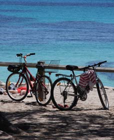 Parker Point Marine Snorkel Trail - Accommodation Bookings 0