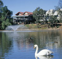 White Swans